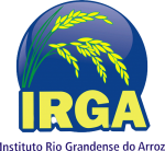 image-removebg-preview (3)